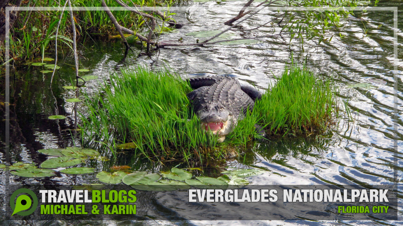 Everglades