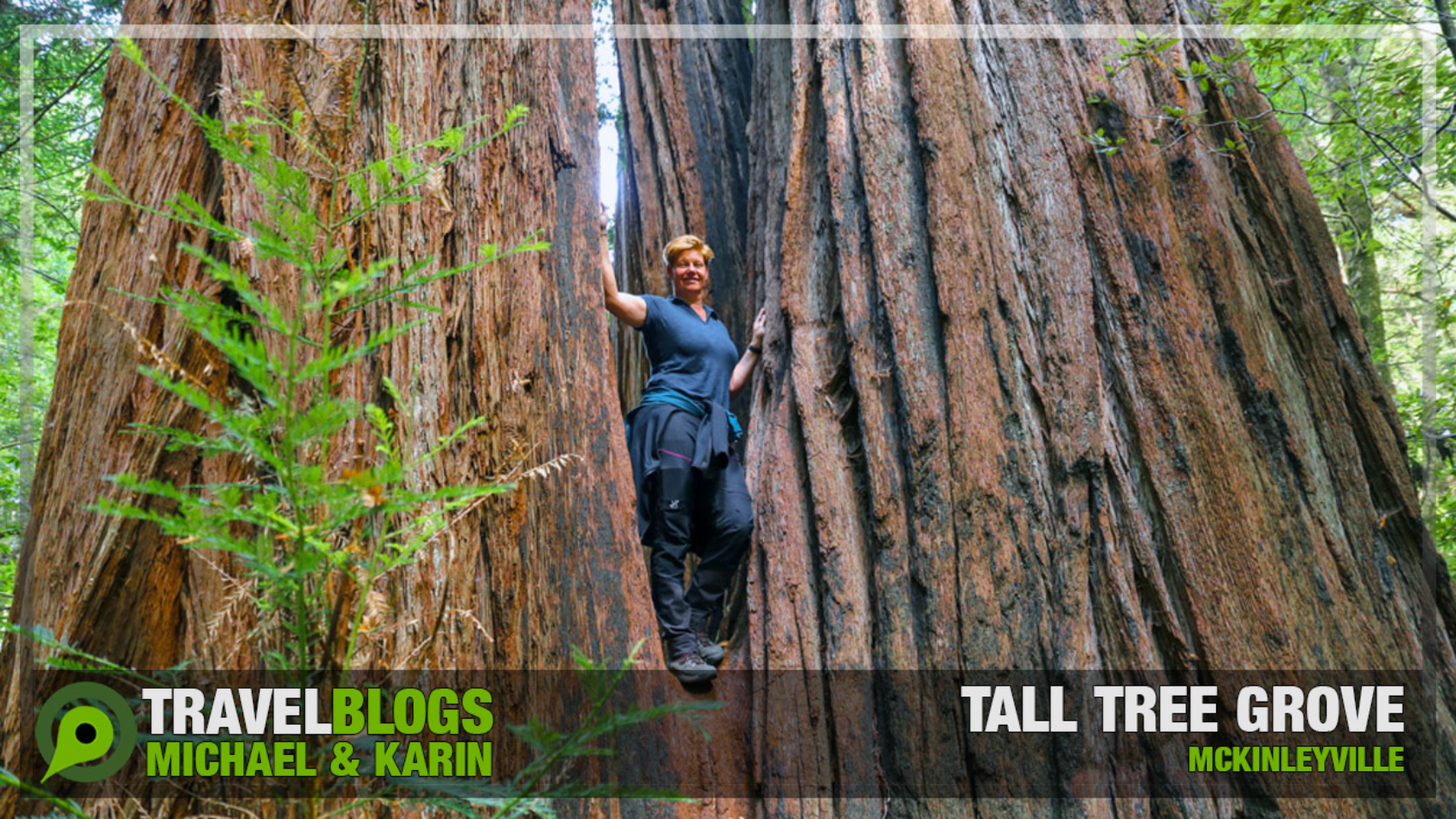 Tall Tree Grove