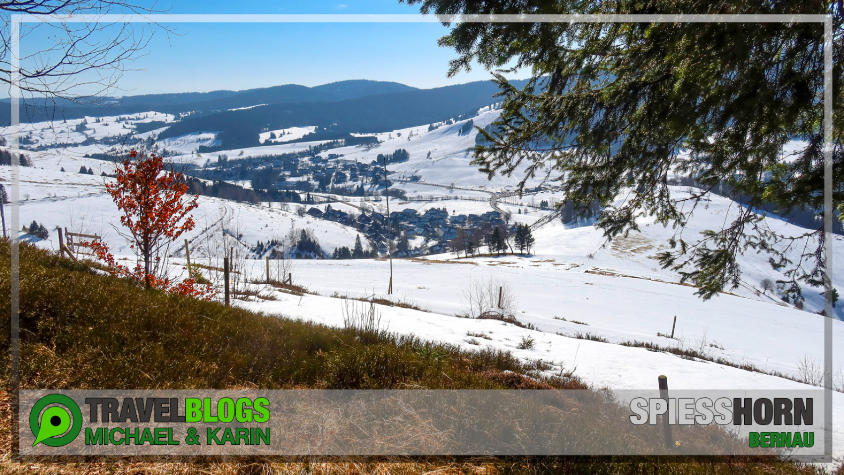 Spiesshorn