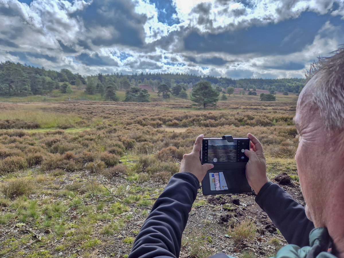 De natuur aan de Otterloseweg