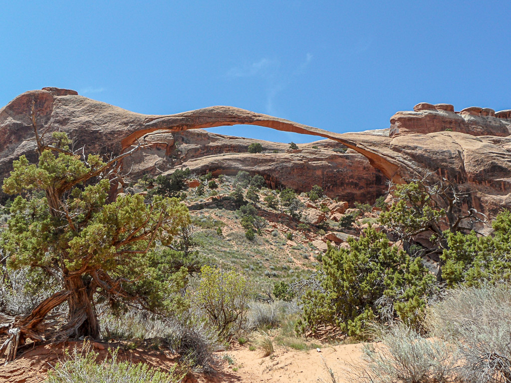 Landscape arch in Arches National Park