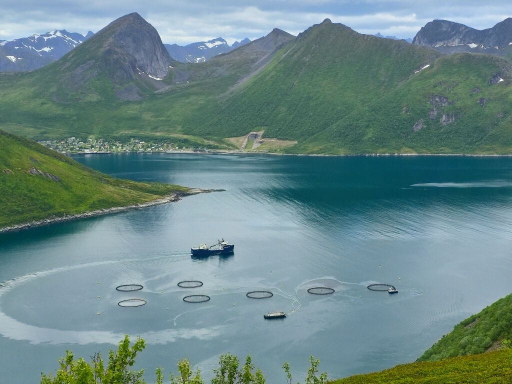 Eidsvaag Opal visvoer lossen