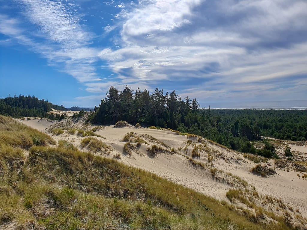 Oregon Dunes