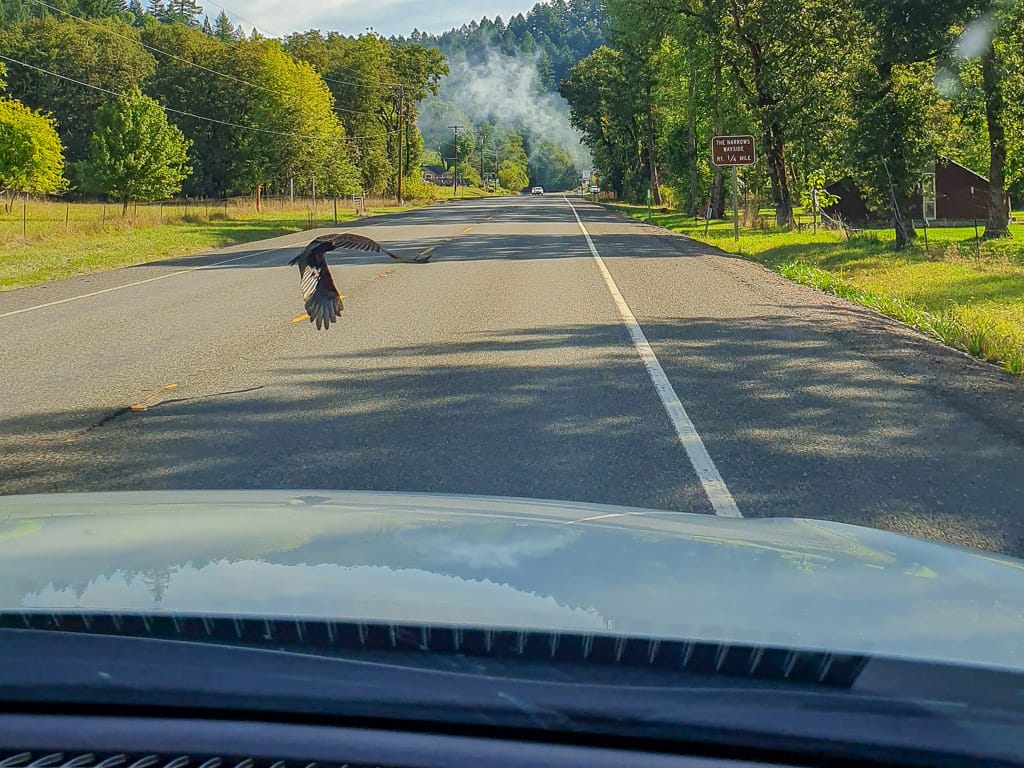 Gieren op de weg