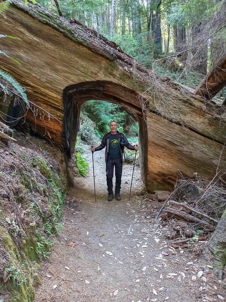 Tall Tree Cove wandeling