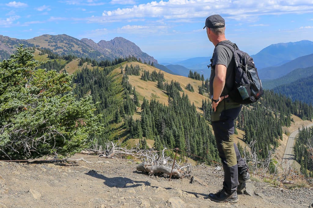 Hurricane Ridge in Olympic National Park