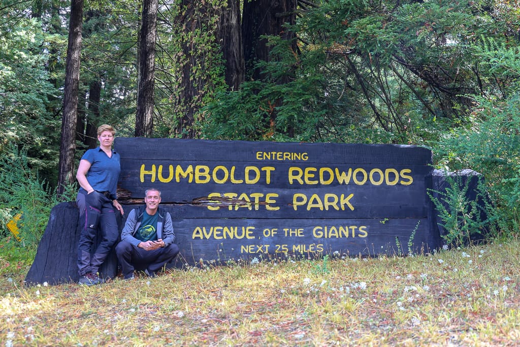 Avenue of Giants