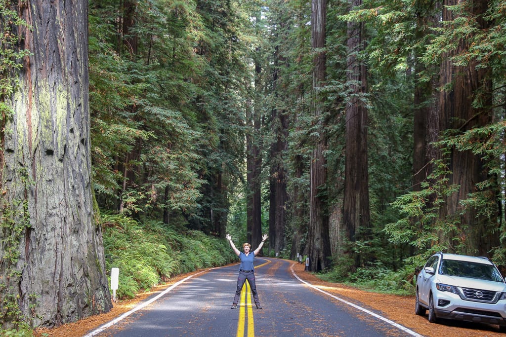Avenue of Giants boom