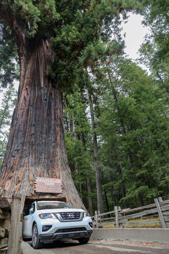 Chandelier tree pas precies