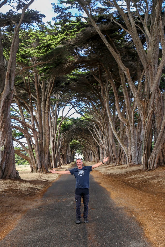 Cypress Tree Tunnel